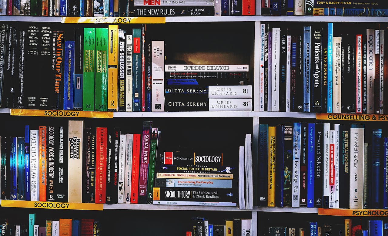 A vibrant collection of sociology books on a well-organized bookshelf.